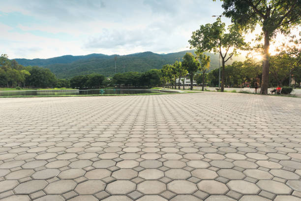 Best Decorative Driveway Pavers  in Pecos, TX